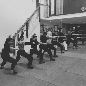 Students performing Taolu